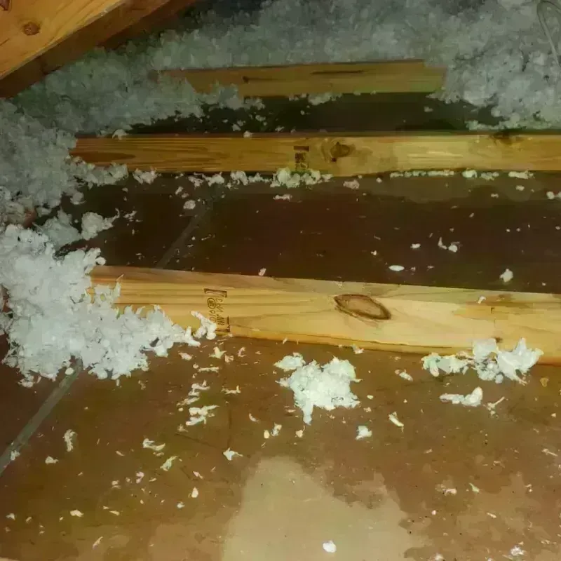 Attic Water Damage in Shaw, DC